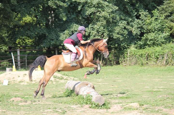 Tous à cheval